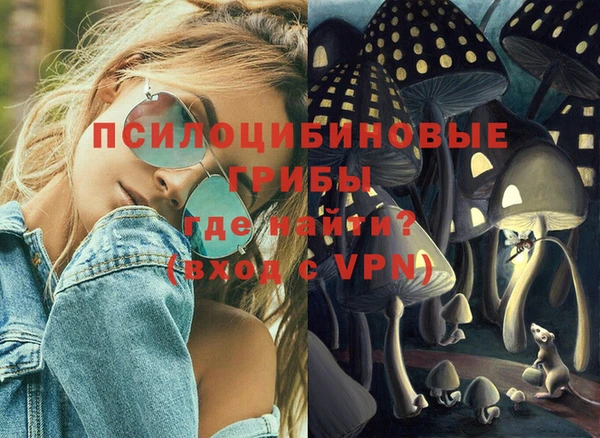 сатива Алексеевка