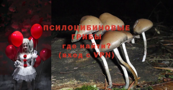ПСИЛОЦИБИНОВЫЕ ГРИБЫ Абаза