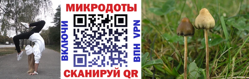 Галлюциногенные грибы Psilocybine cubensis  купить наркотик  Мамадыш 